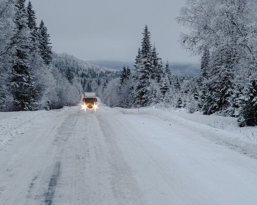 pathway-forest-covered-snow-with-truck-trees