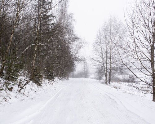 snowy-winter-environment